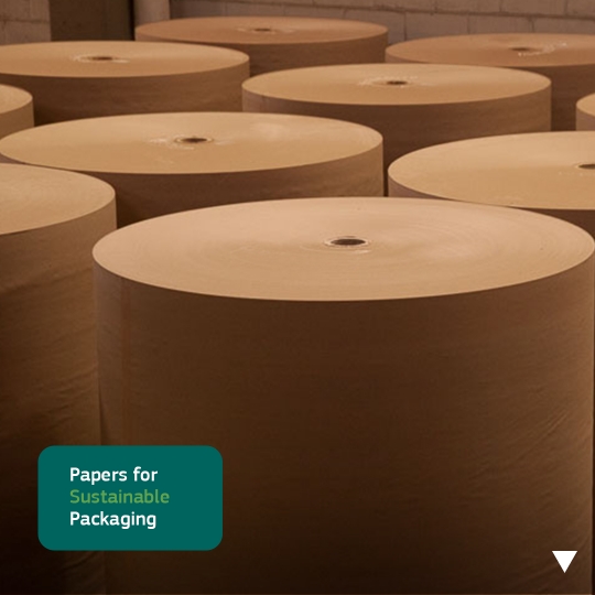 Papers for Sustainable Packaging